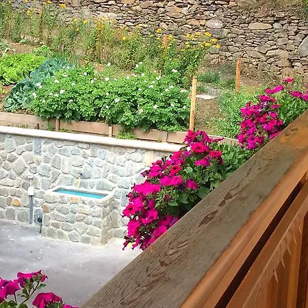 B&B La Marmotta Malè Extérieur photo